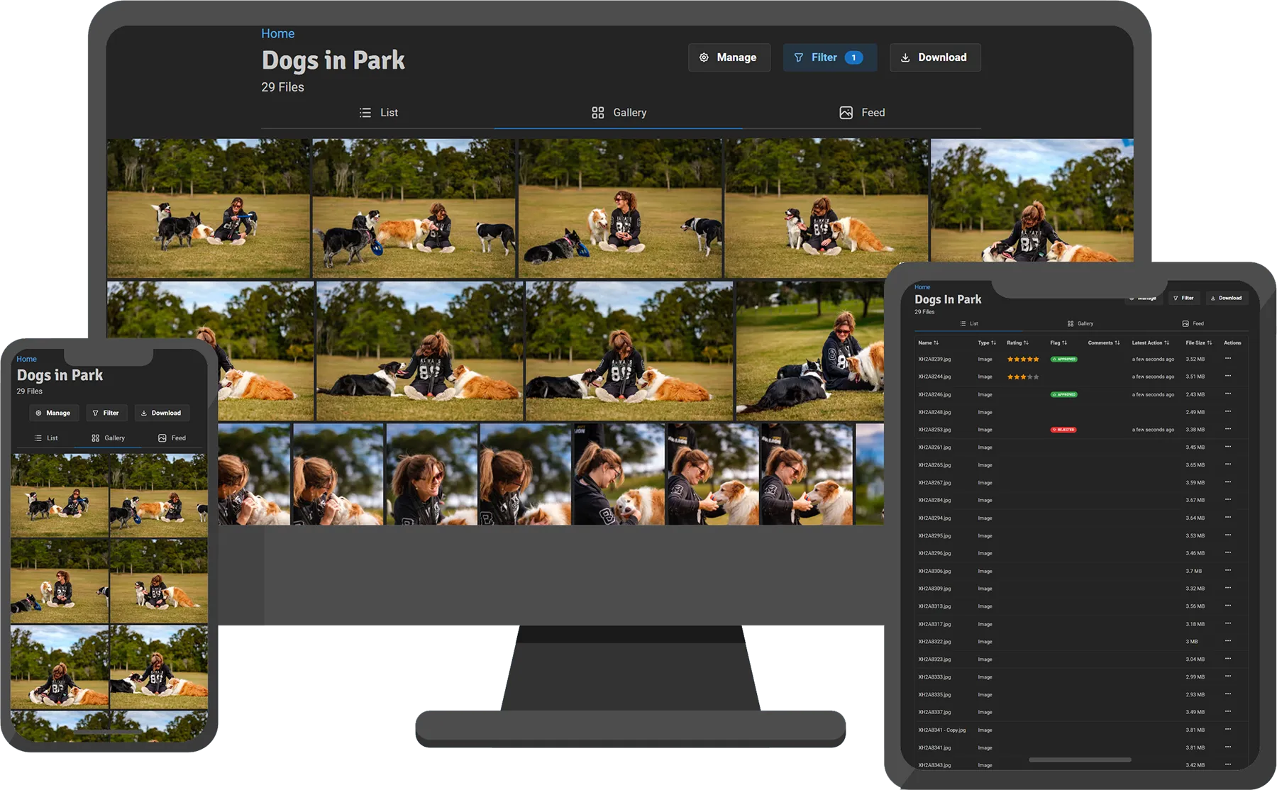 PICR galleries displayed on desktop and mobile devices